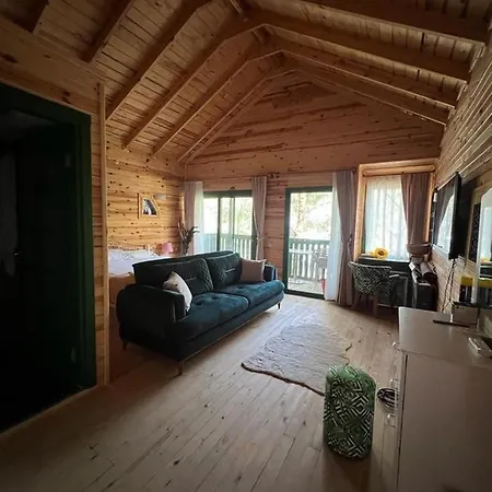 Çamların içindeki bir cennet Tatil Evi