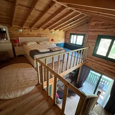 Çamların içindeki bir cennet Tatil Evi